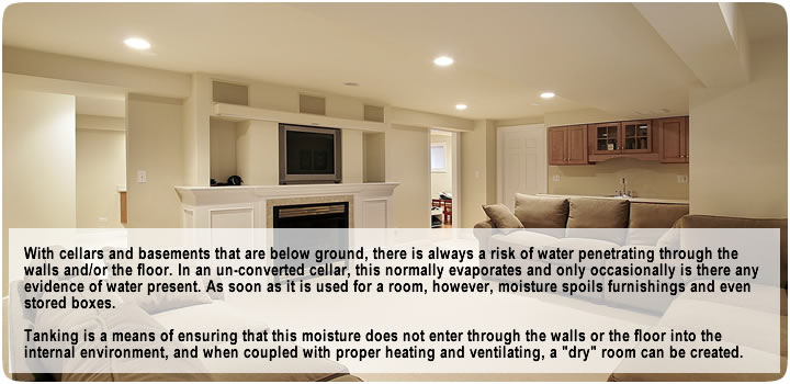 cellar conversion